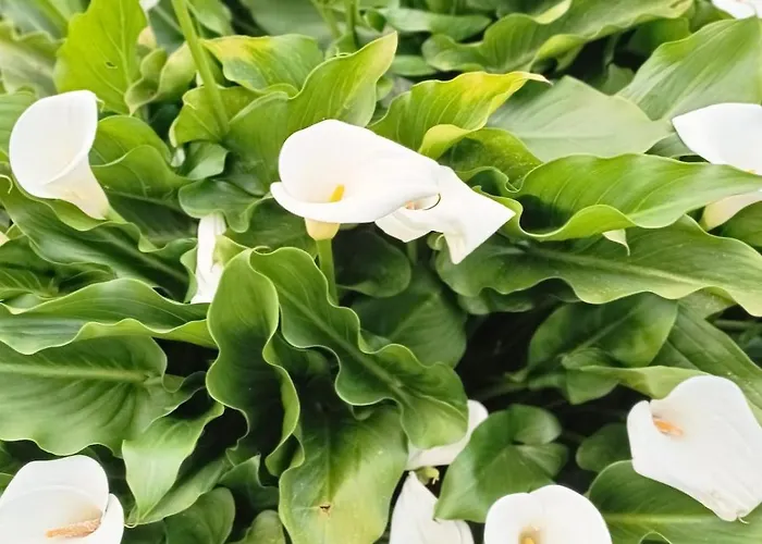 La Casika Del Cerro Prázdninový dům