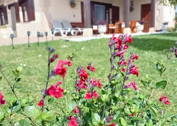 Prázdninový dům La Casika Del Cerro *