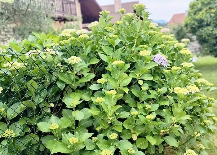 La Casika Del Cerro * Rasines